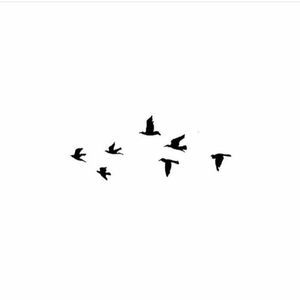 Meet your Posher, Kaoutar